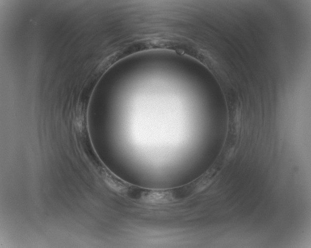 X0000081560129200701221037