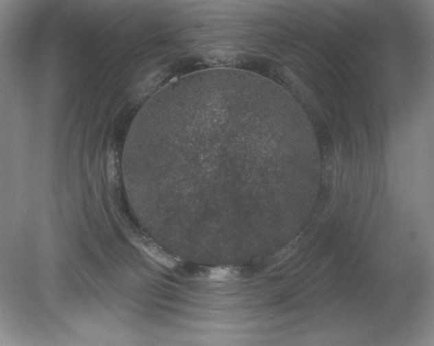 X0000081560130200701221037