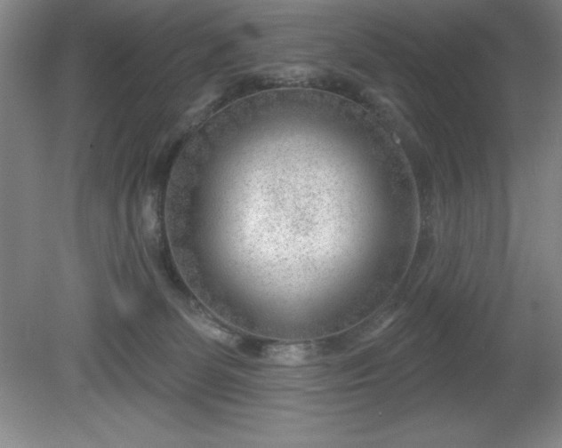 X0000081560131200701221037