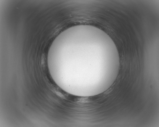 X0000081560132200701221037