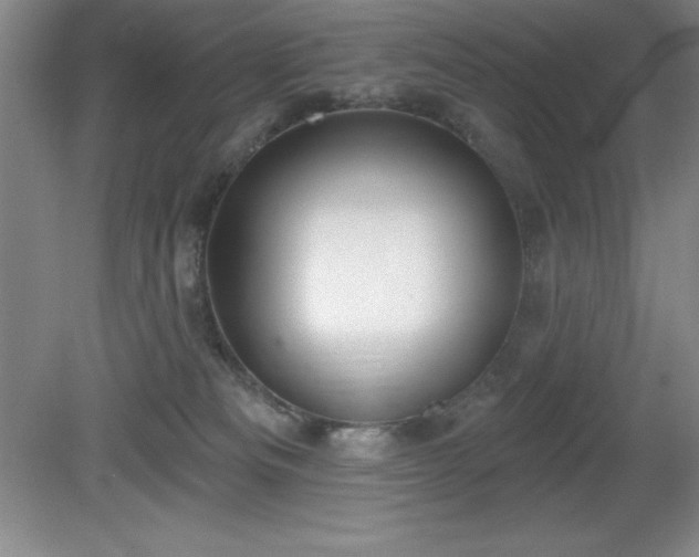 X0000081560133200701221037