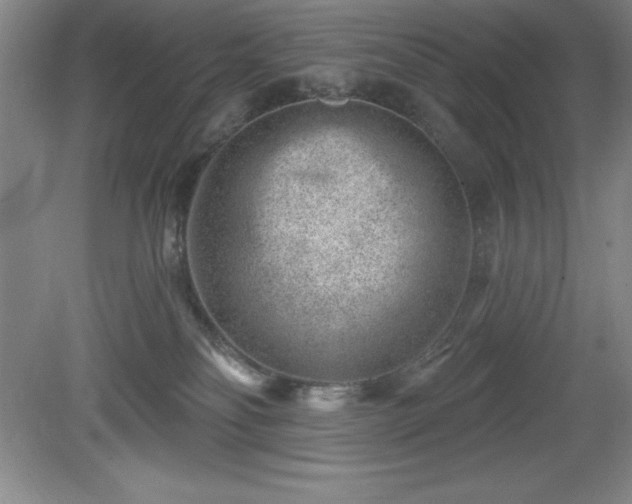 X0000081560134200701221037