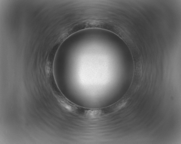 X0000081560135200701221037