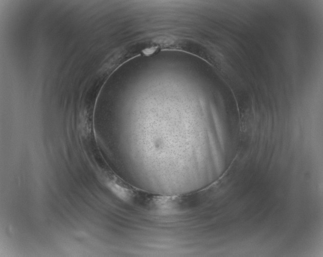 X0000081560136200701221037