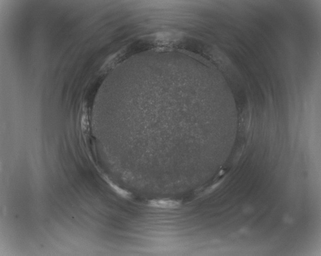 X0000081560137200701221037