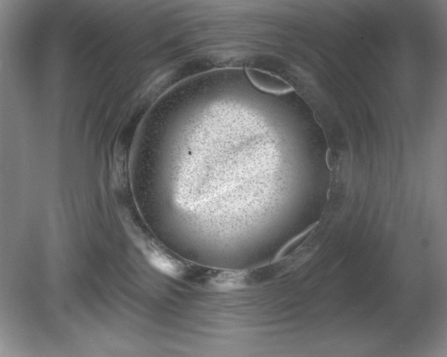 X0000081560138200701221037