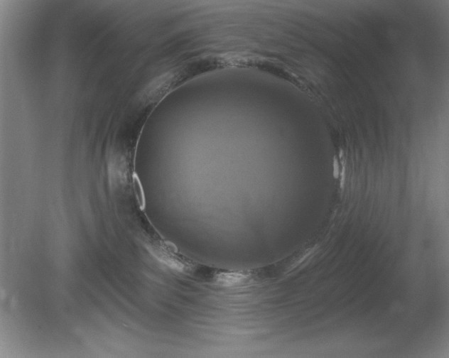 X0000081560139200701221036