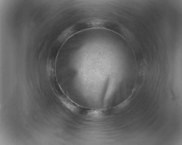 X0000081560140200701221036