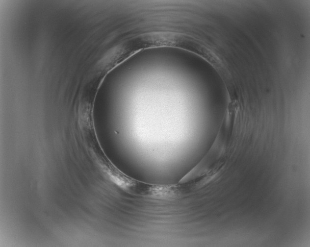 X0000081560141200701221036