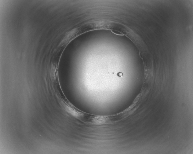 X0000081560142200701221036