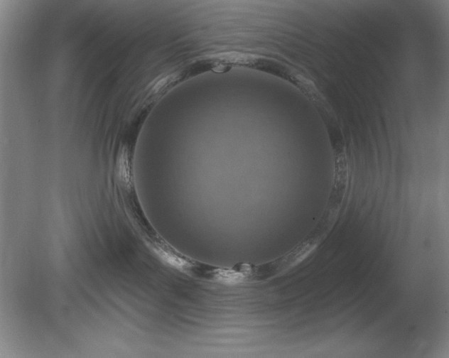 X0000081560143200701221036