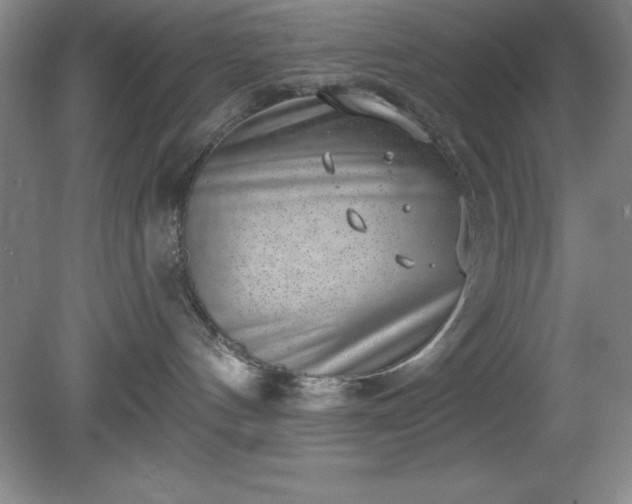 X0000081560144200701221036