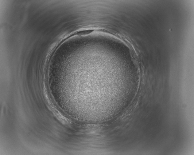 X0000081560145200701221036