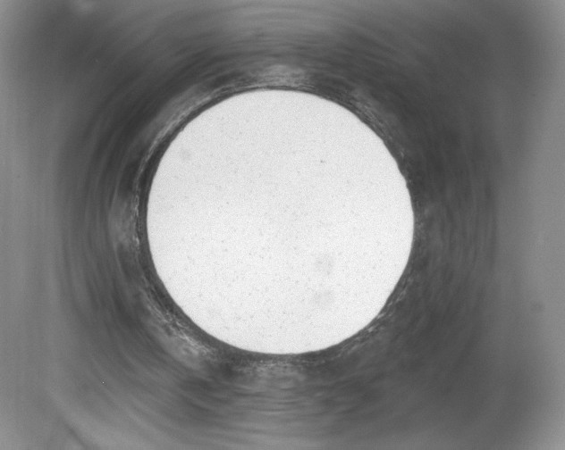 X0000081560146200701221036