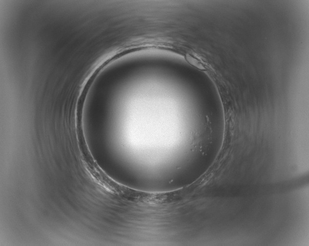 X0000081560148200701221036