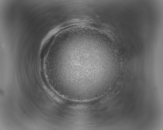 X0000081560149200701221036