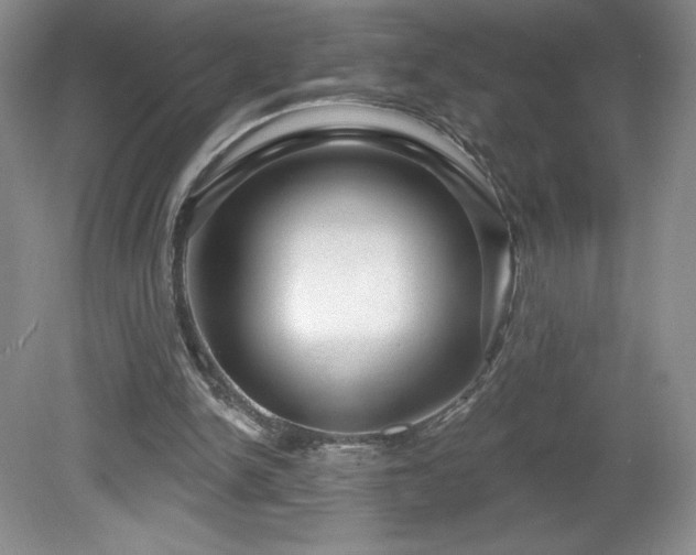 X0000081560150200701221036