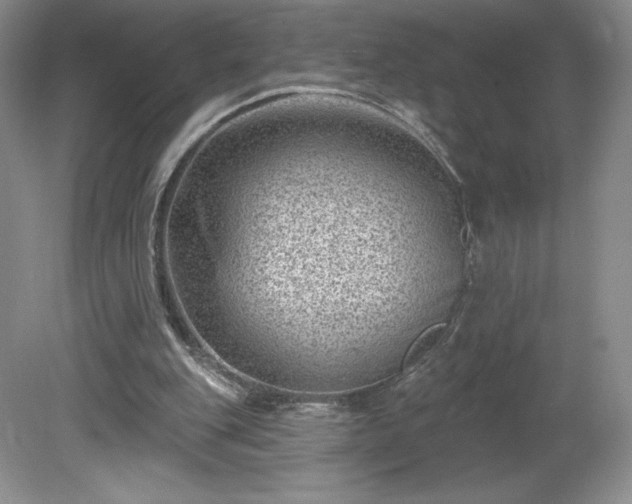 X0000081560151200701221036