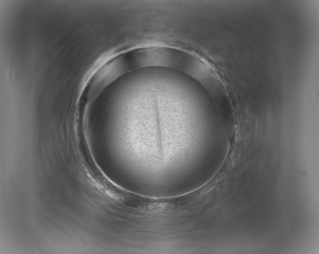 X0000081560152200701221036