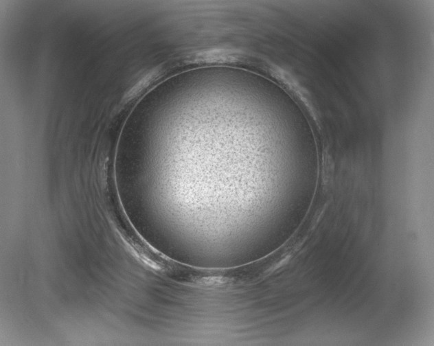 X0000081560153200701221036