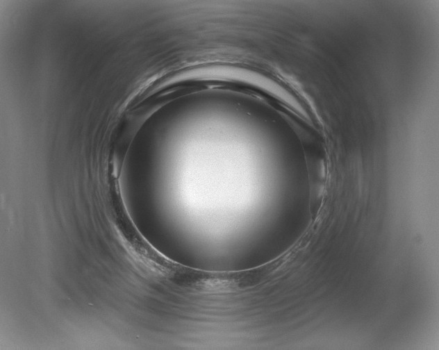 X0000081560154200701221036