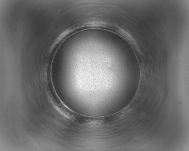 X0000081560155200701221036