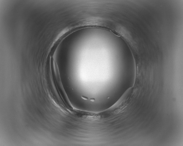 X0000081560156200701221036