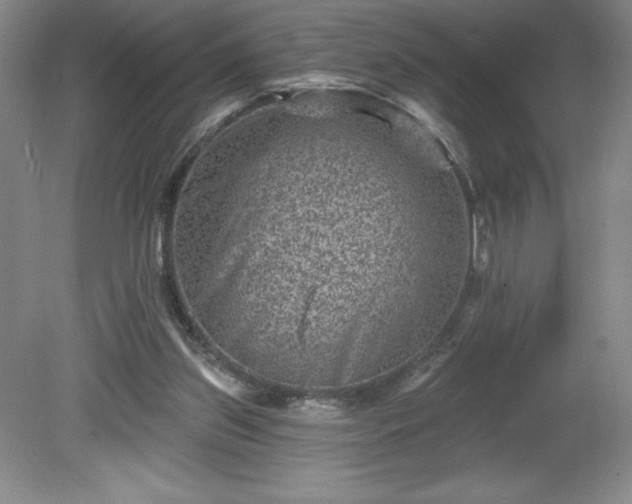 X0000081560157200701221036