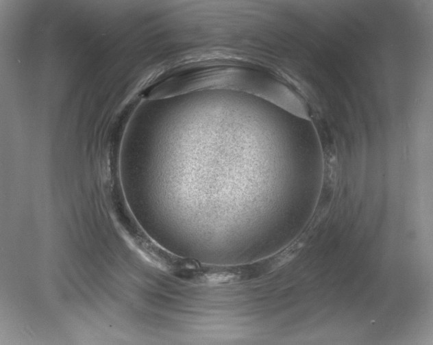 X0000081560158200701221036