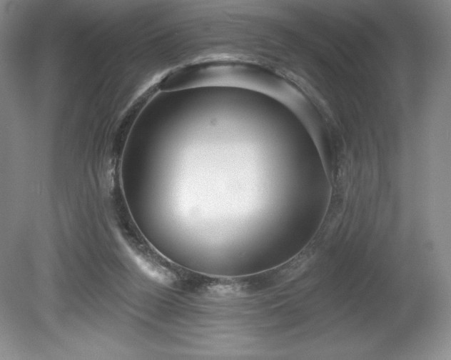 X0000081560160200701221036