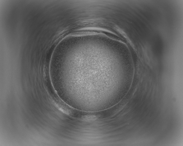 X0000081560161200701221036