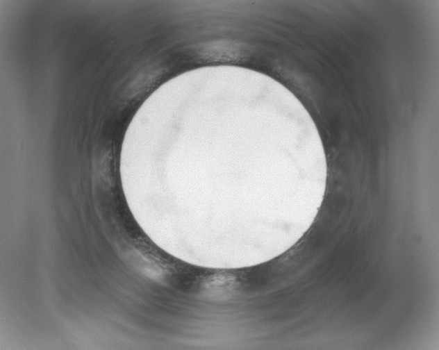 X0000081560162200701221036