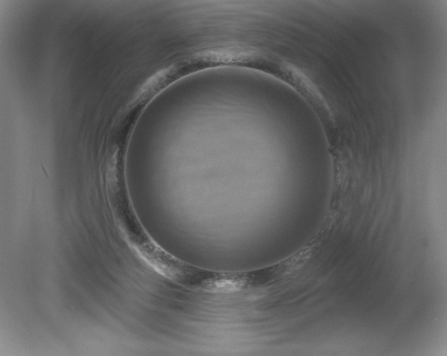 X0000081560163200701221036