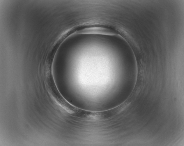 X0000081560164200701221036