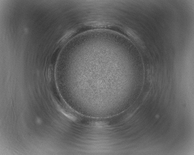 X0000081560165200701221036