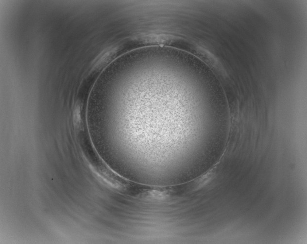 X0000081560166200701221036