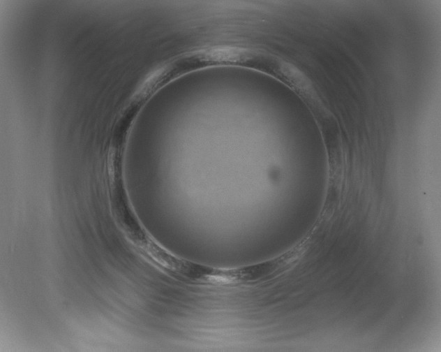 X0000081560167200701221036