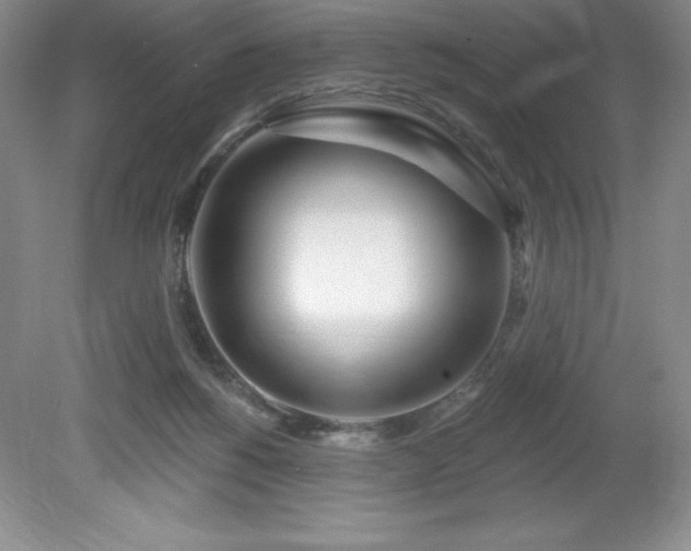 X0000081560168200701221036