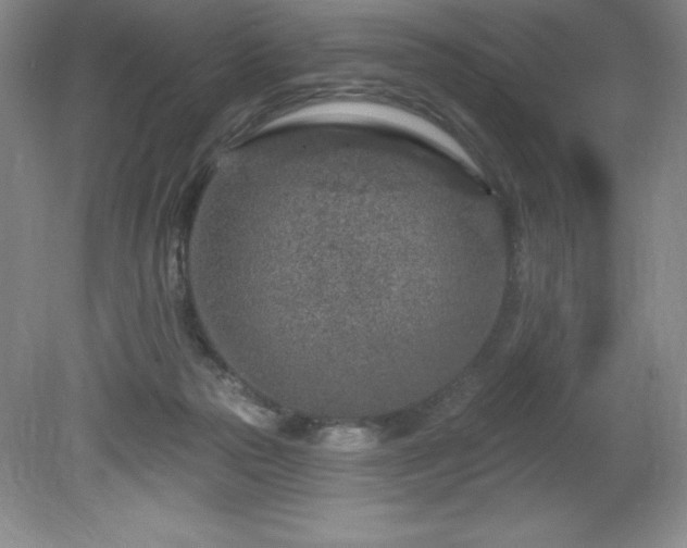 X0000081560169200701221036