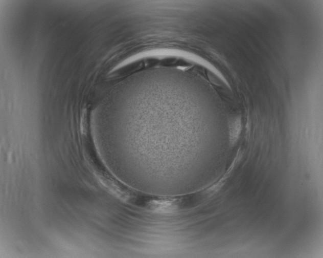 X0000081560170200701221036