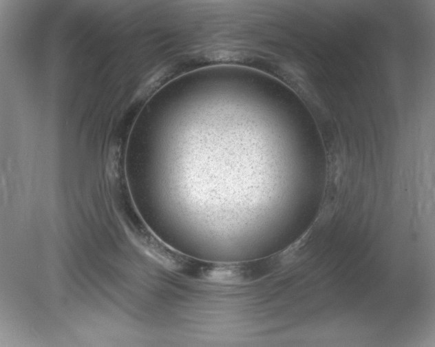 X0000081560171200701221036