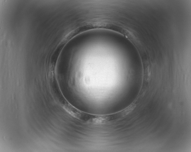 X0000081560172200701221036