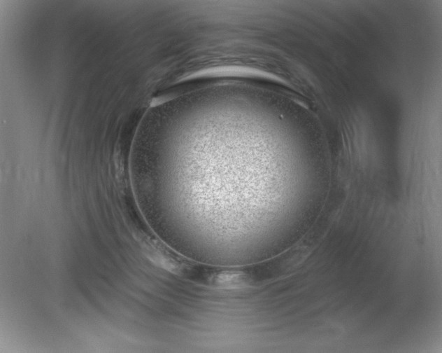 X0000081560173200701221036