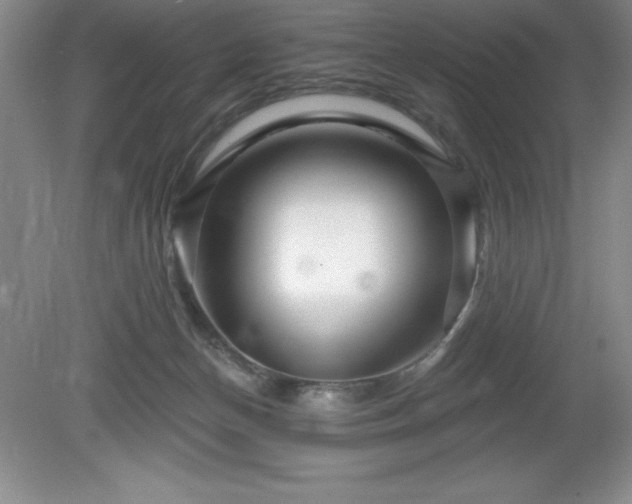 X0000081560174200701221036