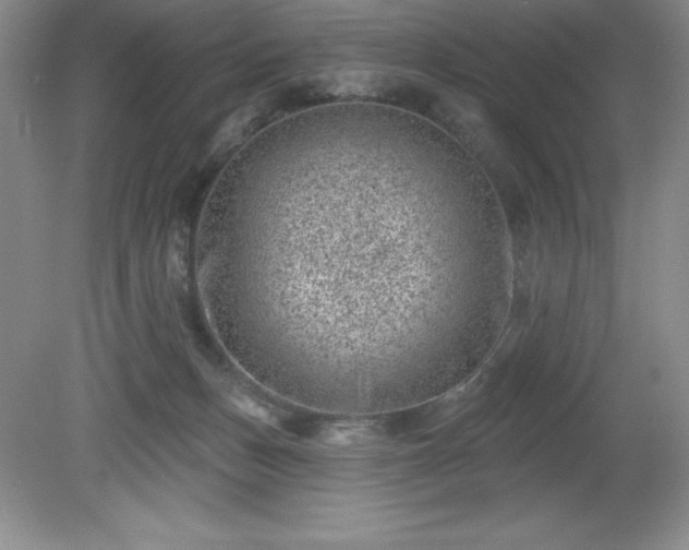 X0000081560175200701221036