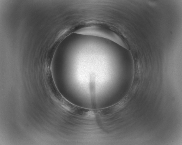 X0000081560176200701221036