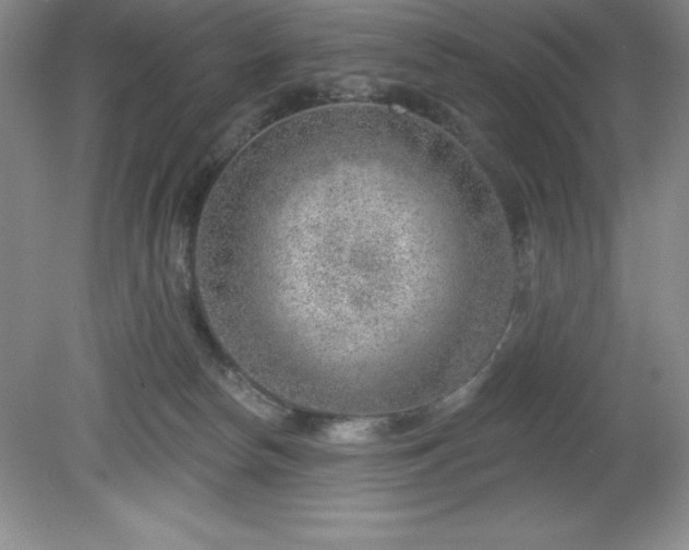 X0000081560178200701221036