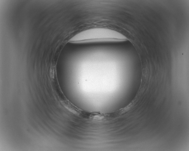 X0000081560180200701221036