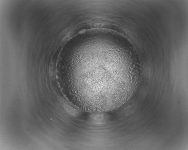 X0000081560181200701221036