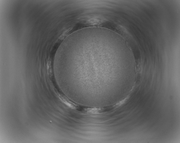 X0000081560182200701221036